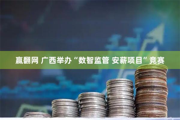 赢翻网 广西举办“数智监管&#32;安薪项目”竞赛