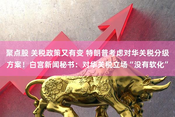 聚点股 关税政策又有变 特朗普考虑对华关税分级方案！白宫新闻秘书：对华关税立场“没有软化”