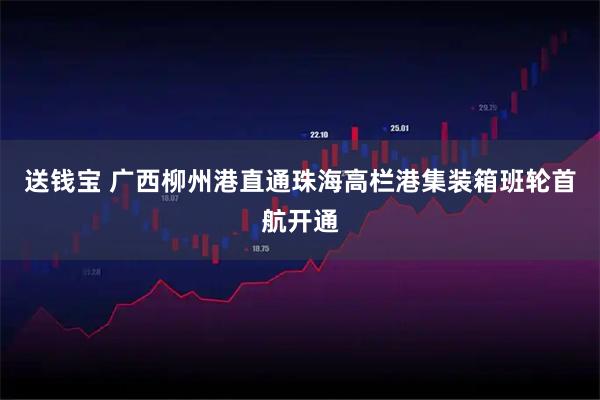 送钱宝 广西柳州港直通珠海高栏港集装箱班轮首航开通