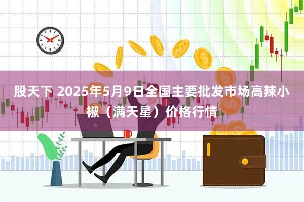 股天下 2025年5月9日全国主要批发市场高辣小椒（满天星）价格行情