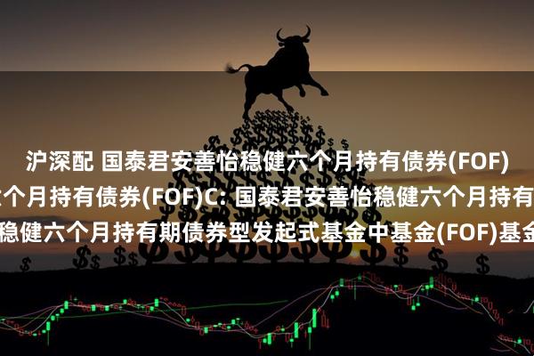 沪深配 国泰君安善怡稳健六个月持有债券(FOF)A,国泰君安善怡稳健六个月持有债券(FOF)C: 国泰君安善怡稳健六个月持有期债券型发起式基金中基金(FOF)基金经理变更公告