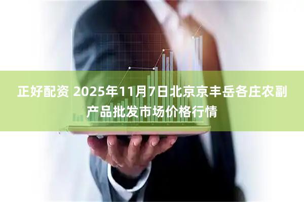 正好配资 2025年11月7日北京京丰岳各庄农副产品批发市场价格行情